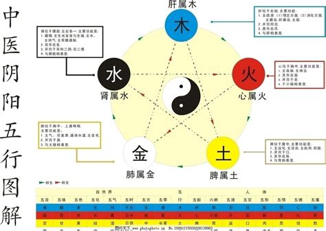 五行火土|阴阳五行（中国古代朴素的唯物哲学）